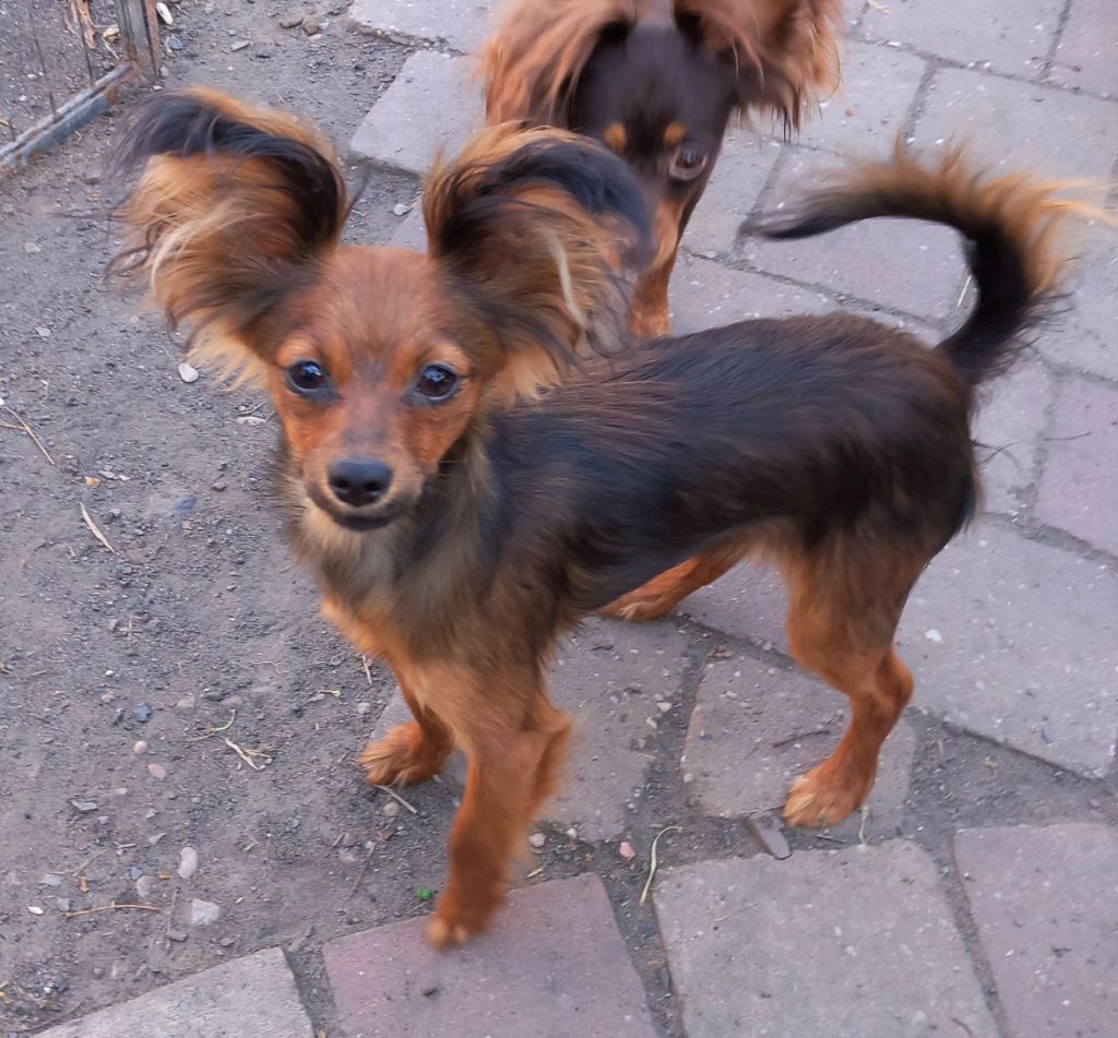 Publication : By Bidule 