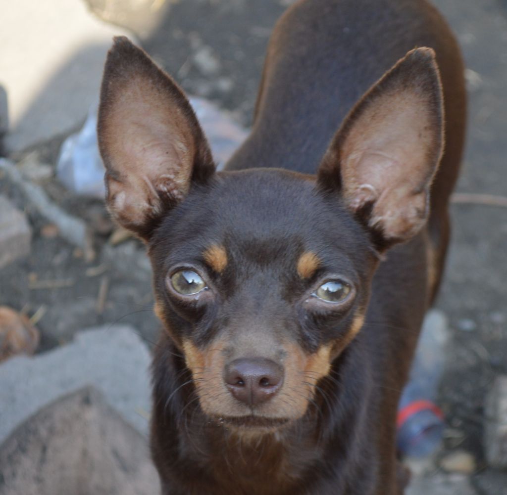 Publication : By Bidule 