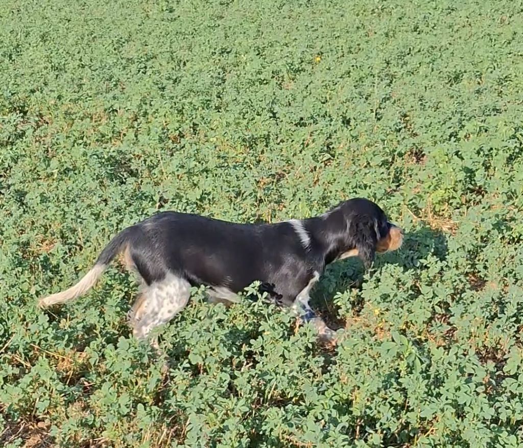 Publication : De La Source De Salbart 