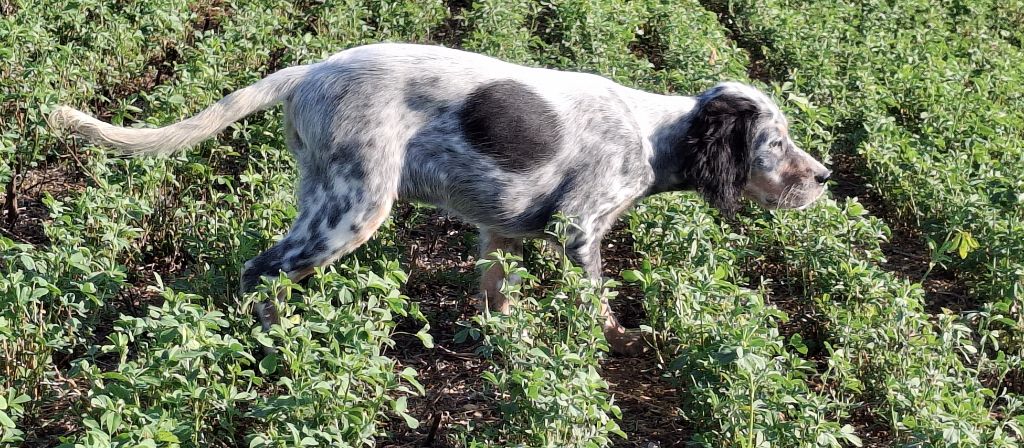 Publication : De La Source De Salbart 