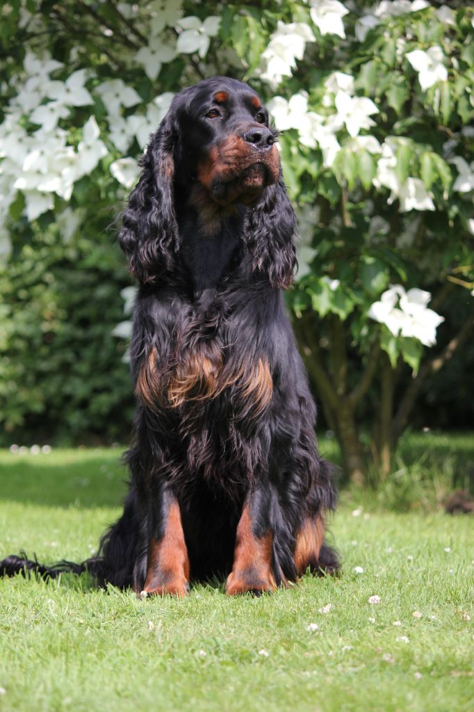 Publication : Du Roux-miroir Auteur : Manon Gelin