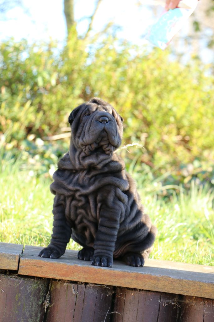 Publication : du grain de beauté 