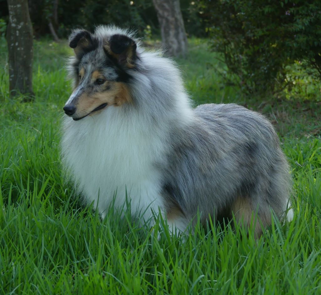 Publication : De La Nit