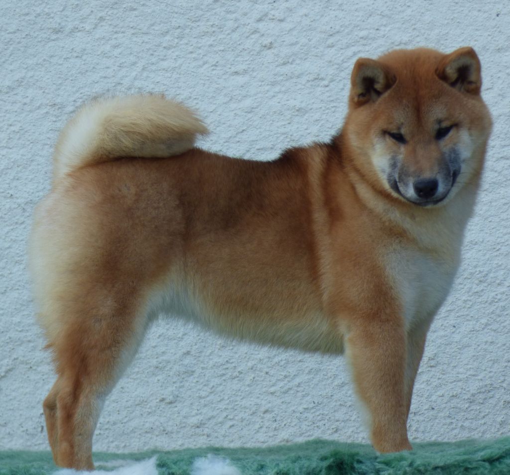 Publication : La Colline D'olga 