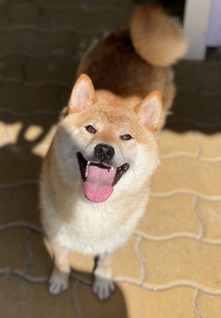 Publication : Hoxakam 