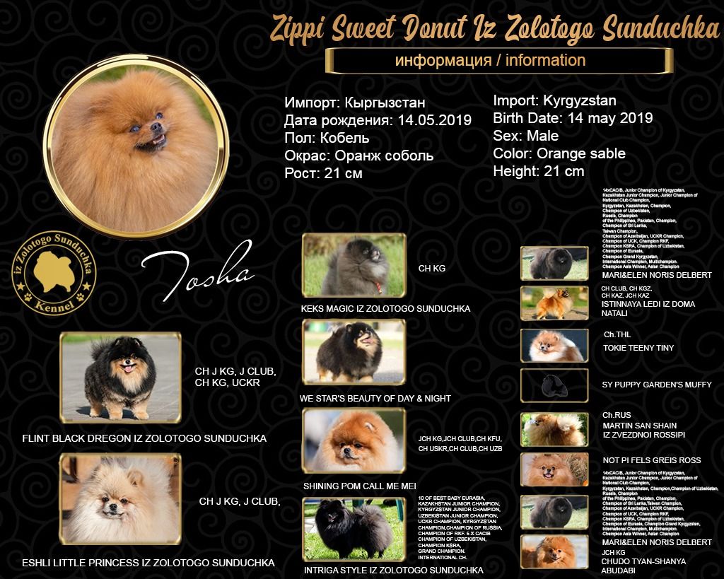 Publication : Des Pom Caraïbes D'Ela 