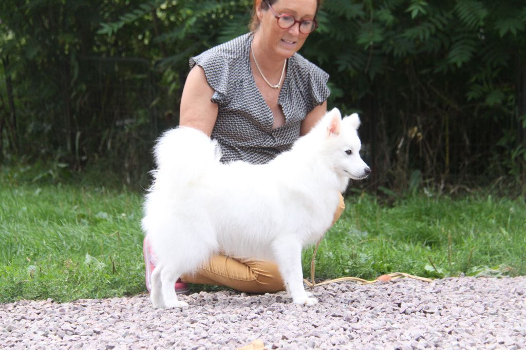 Publication : Des jardins de margaux Auteur : Jardins De Margaux