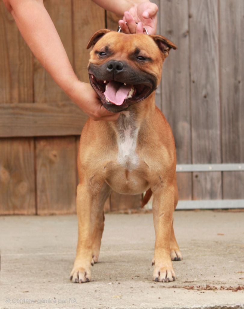 Publication : Du Domaine Des Juraires