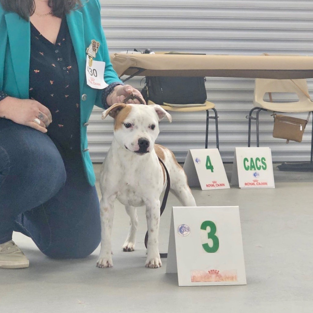 Publication : Lalie's Niños