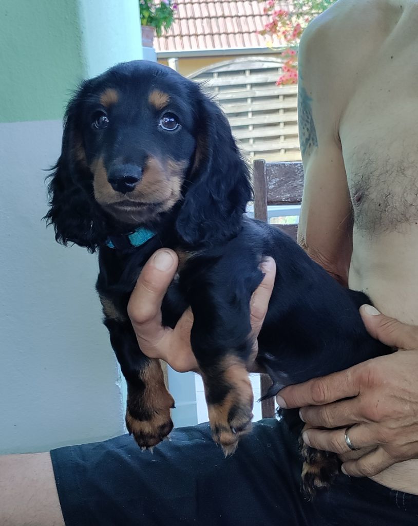 Publication : du domaine de Locus 