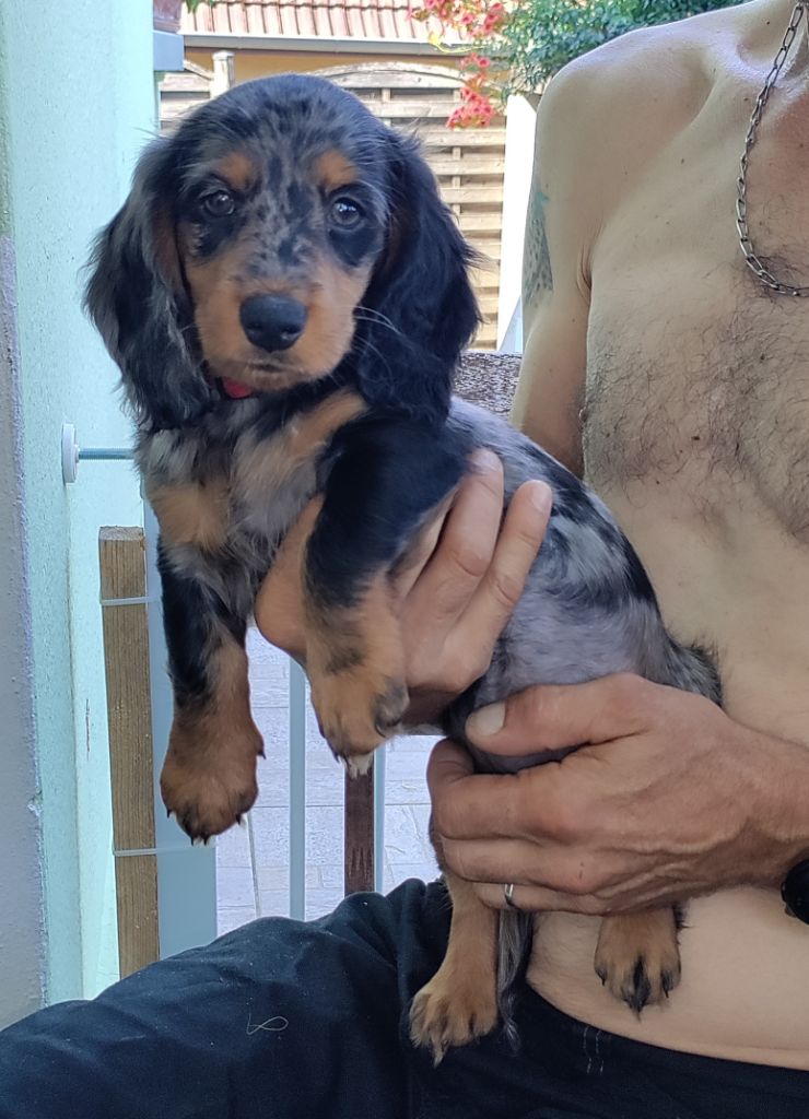 Publication : du domaine de Locus 