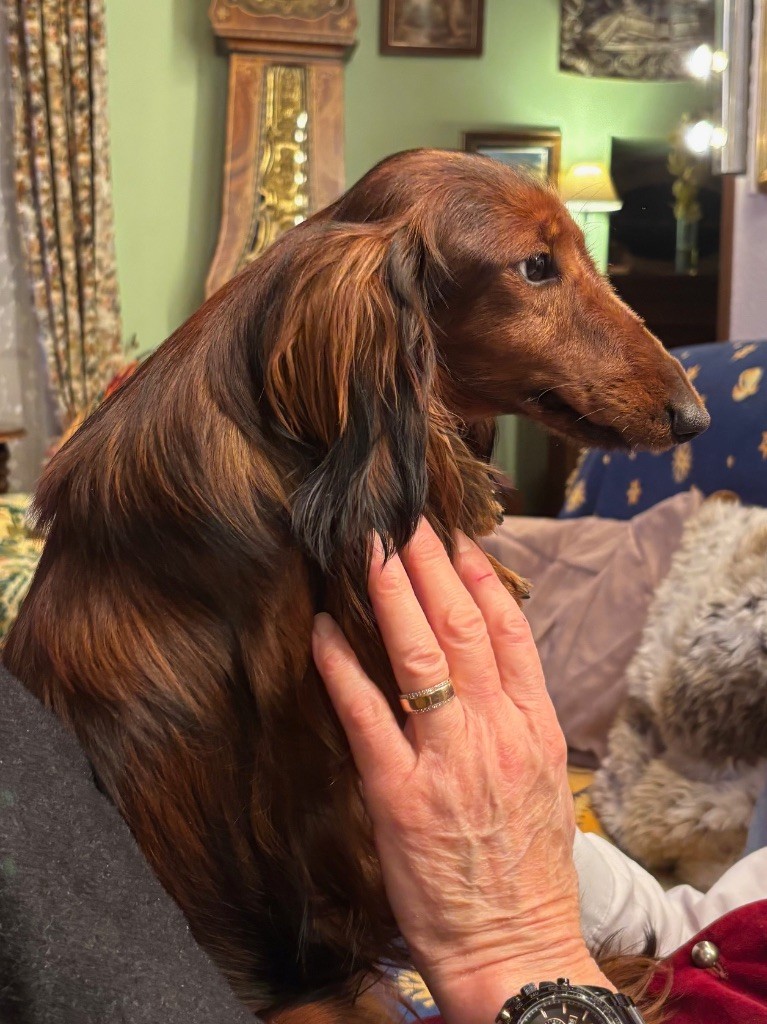 Publication : Du grand baronnet