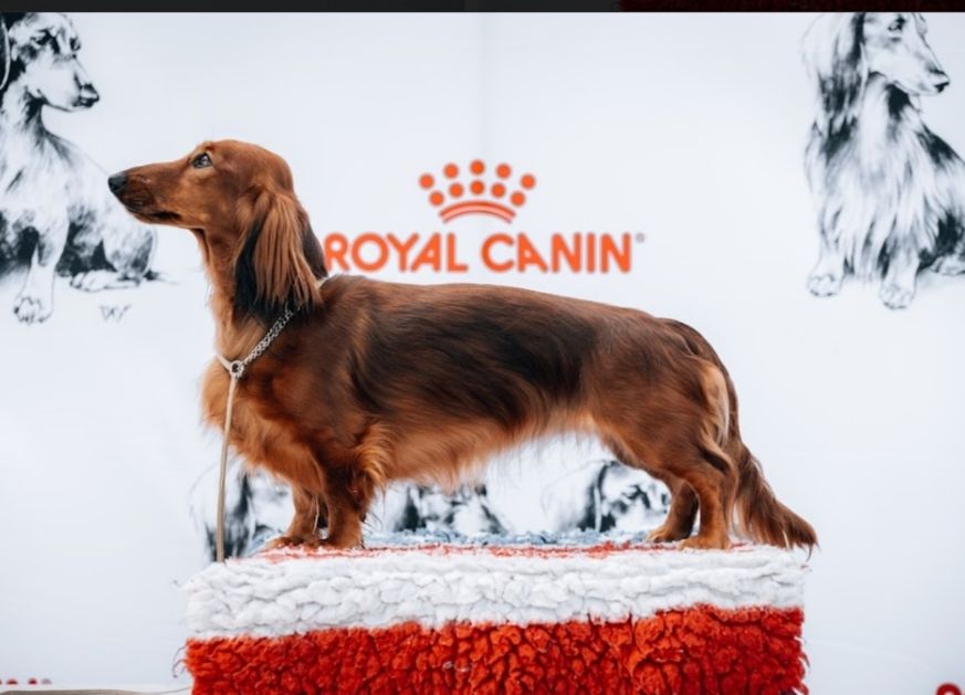 Publication : du domaine de Locus