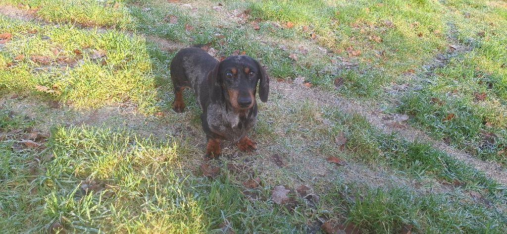 Publication : (Sans Affixe) 