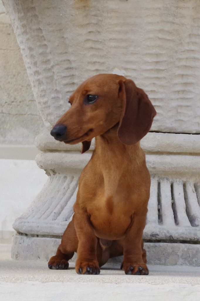 Publication : of Wamil Ajendra Auteur : Lequain G.