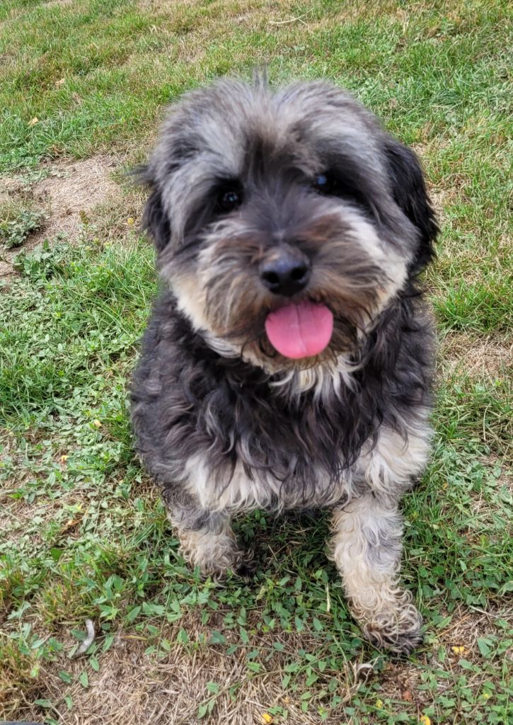 Publication : Des marais de courmont 