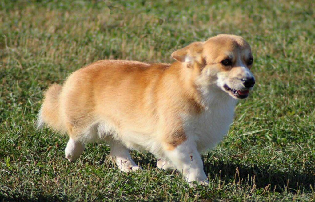 Publication : La caverne des anges Auteur : K-THOMAS