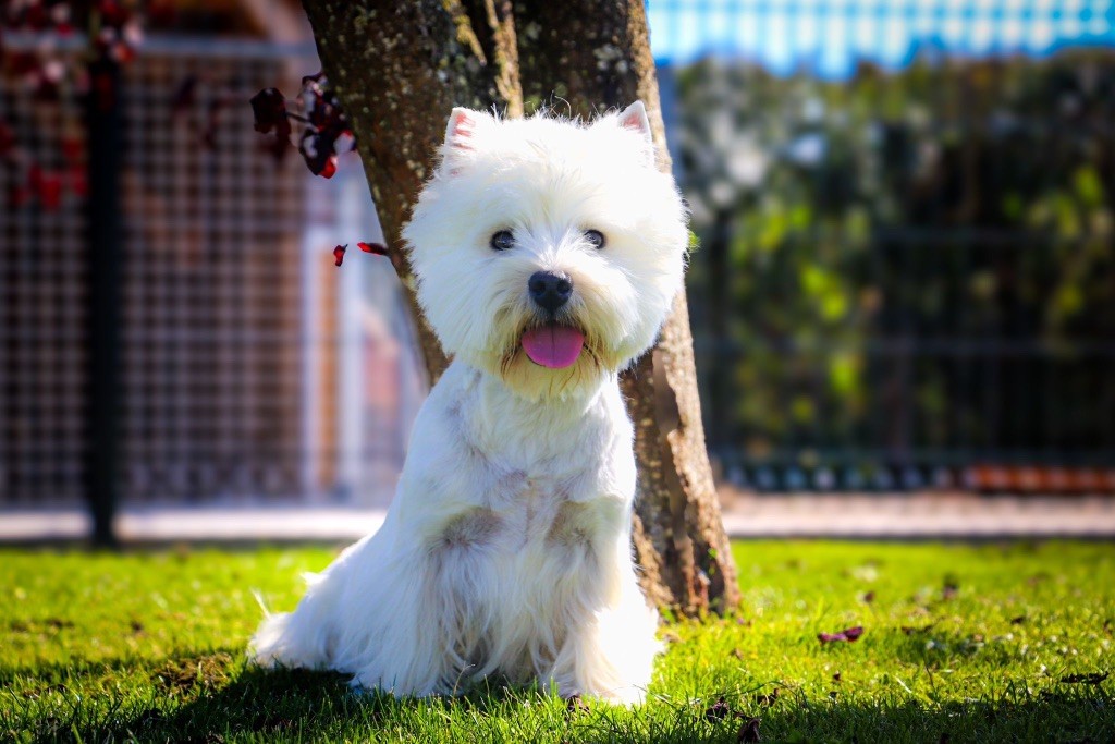 Publication : Quentin's Touch Auteur : Quentin Declerck