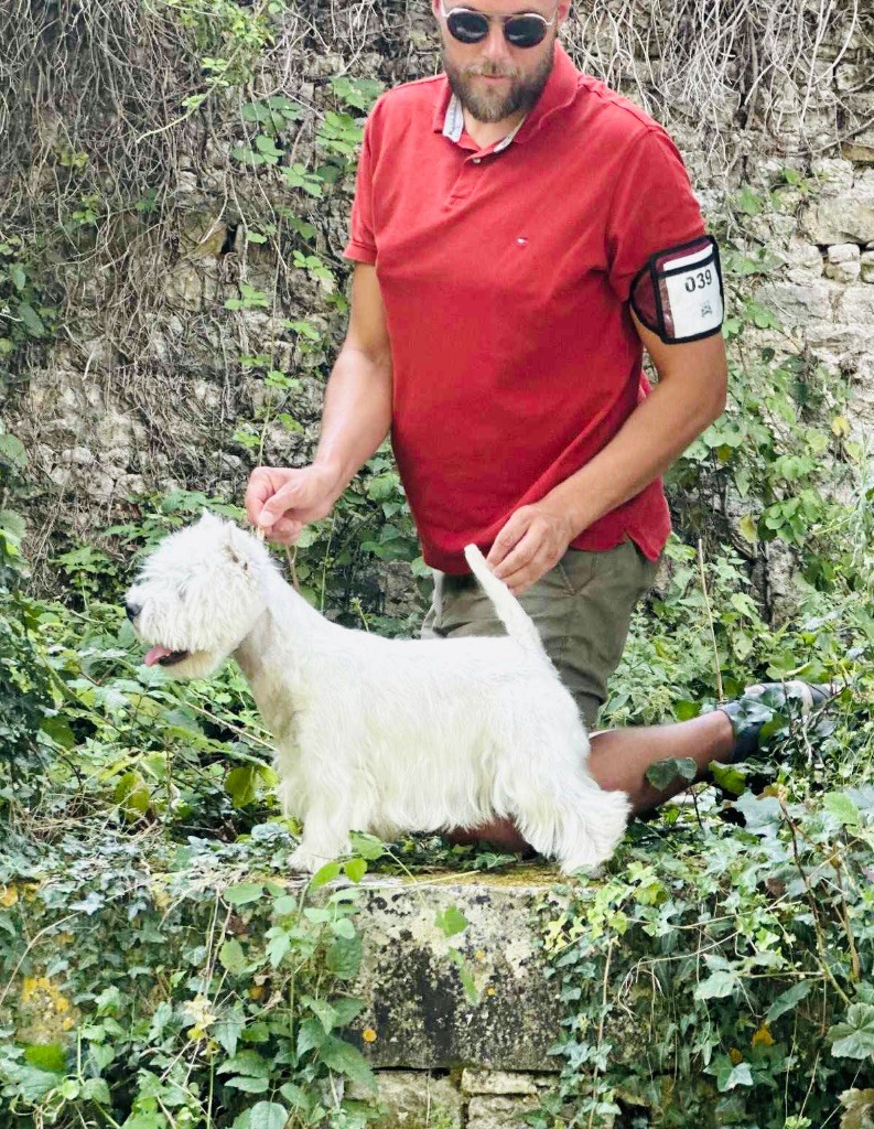 Publication : Quentin's Touch 