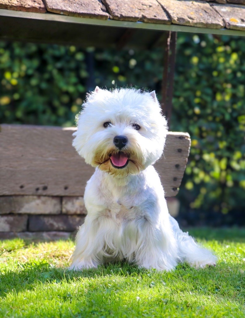 Publication : Quentin's Touch Auteur : Quentin Declerck