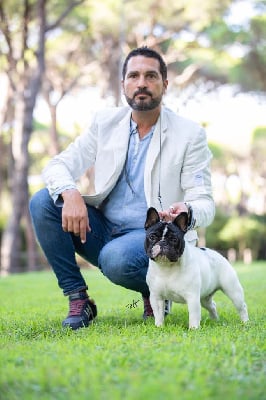 CH. avigdors Tout le monde a mes pied