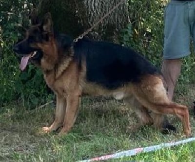 Tanos Du val de la houée