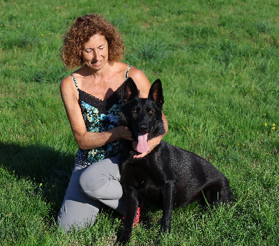 Étalon Berger Allemand - Vicky Du domaine saint loup
