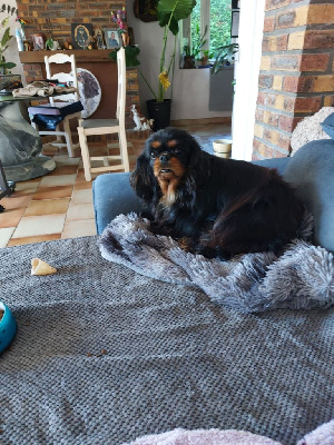 Titi (tea for two) Du clos de larpege