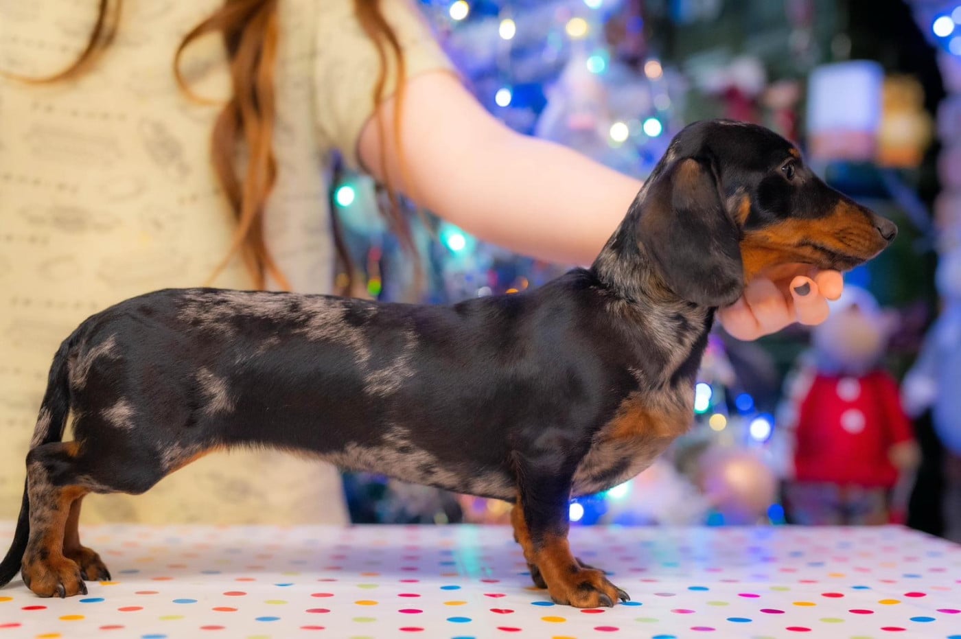 Publication : Red Millions 