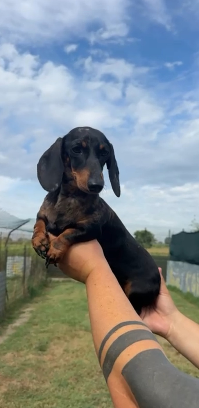 Publication : Red Millions 