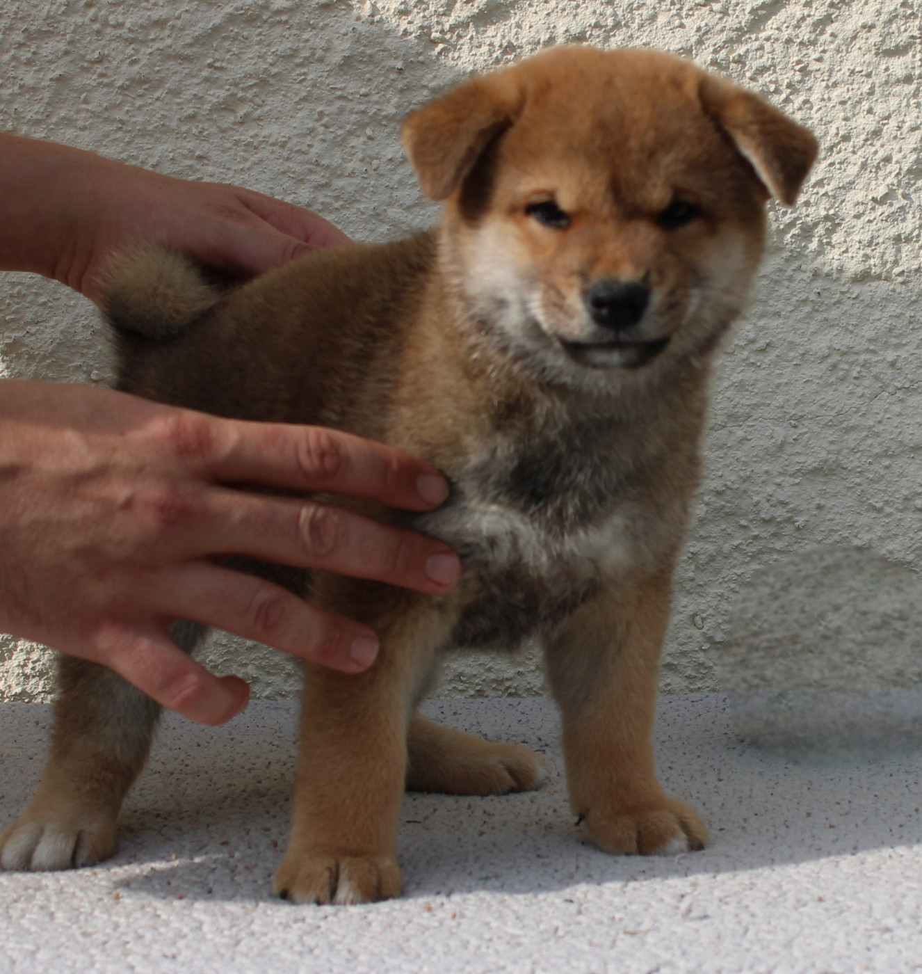 Publication : La Colline D'olga 