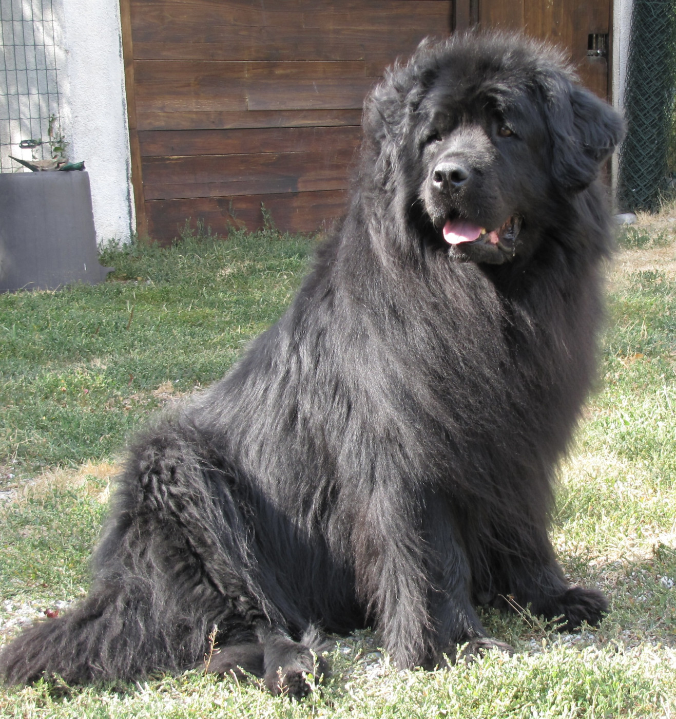 Publication : du haut Selvage 