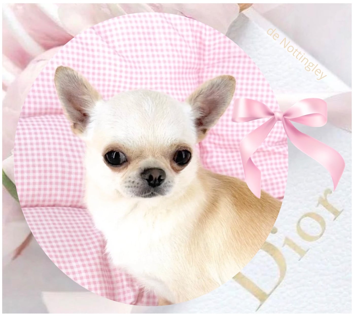 Publication : de Nottingley Auteur : @denottingley