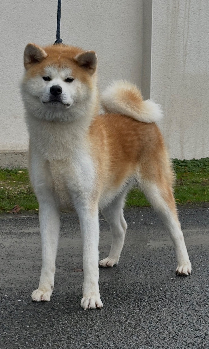 Publication : du Clos des Chtis Auteur : TEAM DU CLOS DES CHTIS