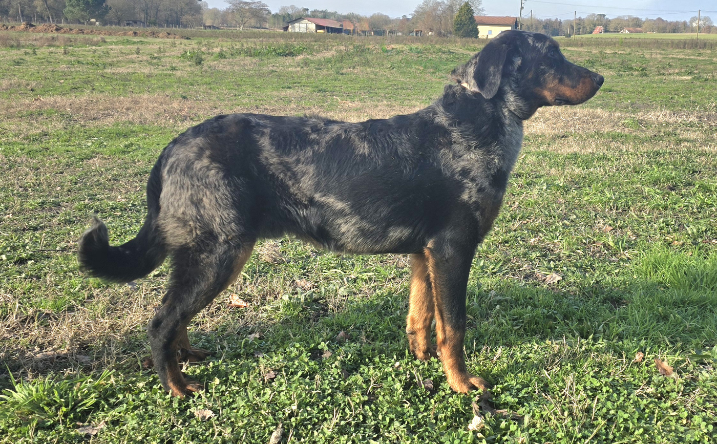 Publication : Du Clos Des Loutres