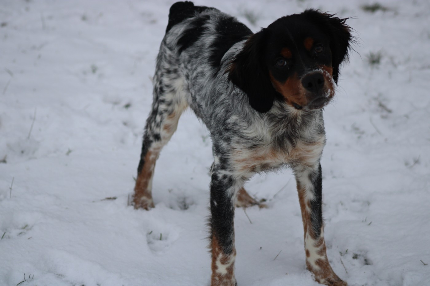 Publication : De La Vallée De La Py