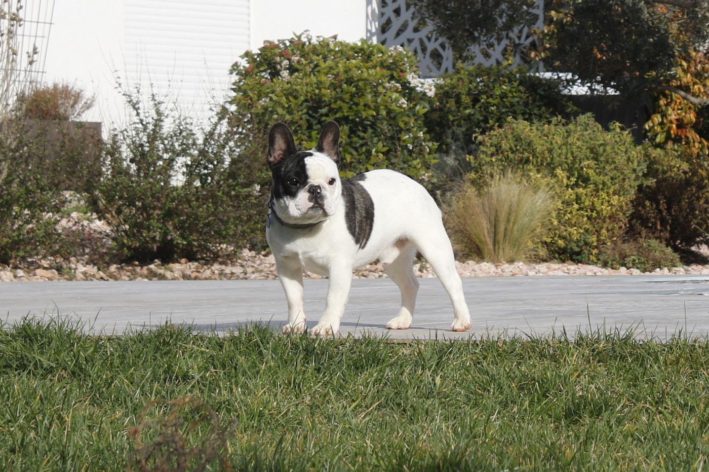 Publication : Du Paradis D'Hibiscus Auteur : LR