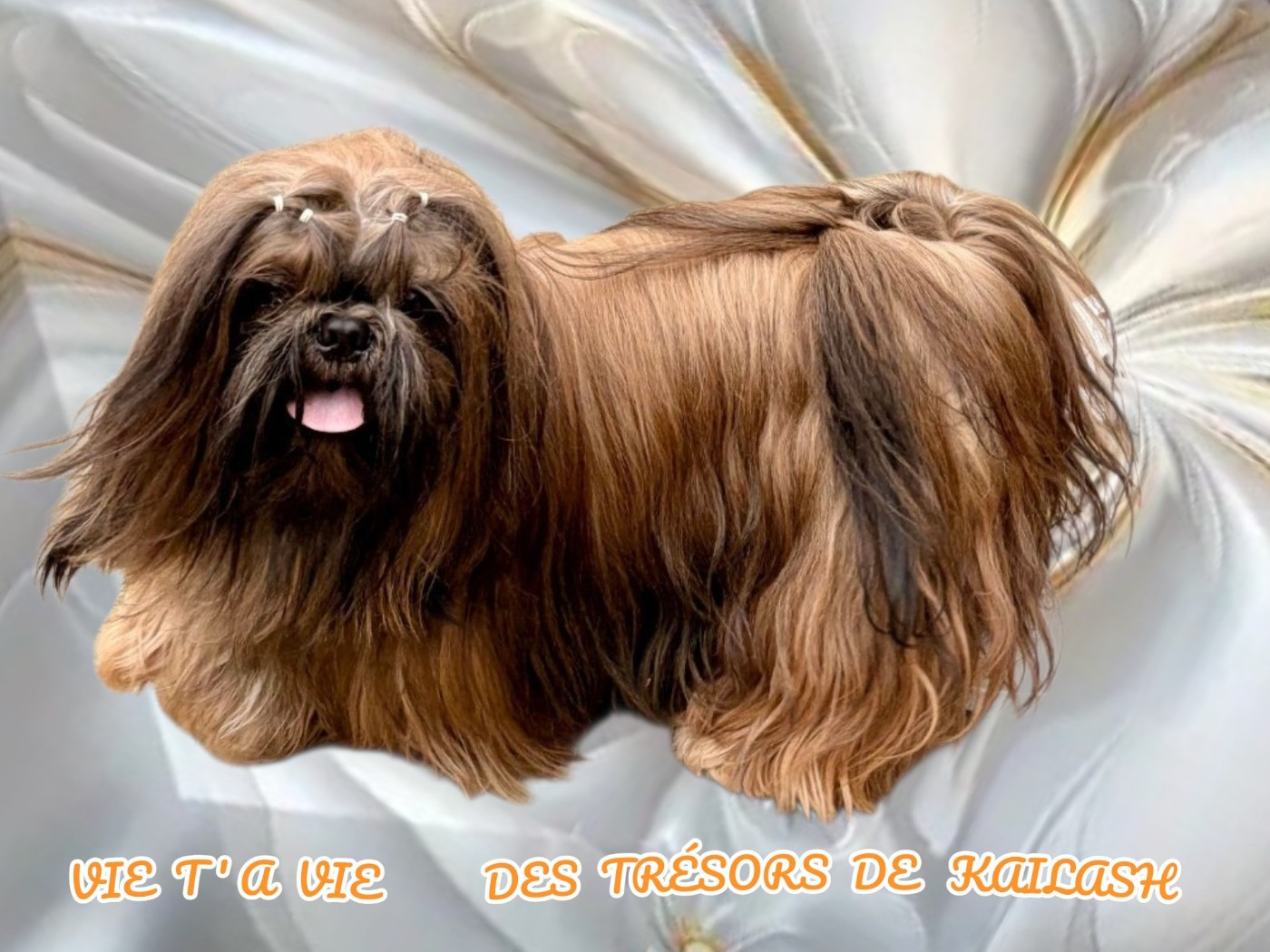 Publication : Des Trésors De Kailash Auteur : Nathalie OSSANT