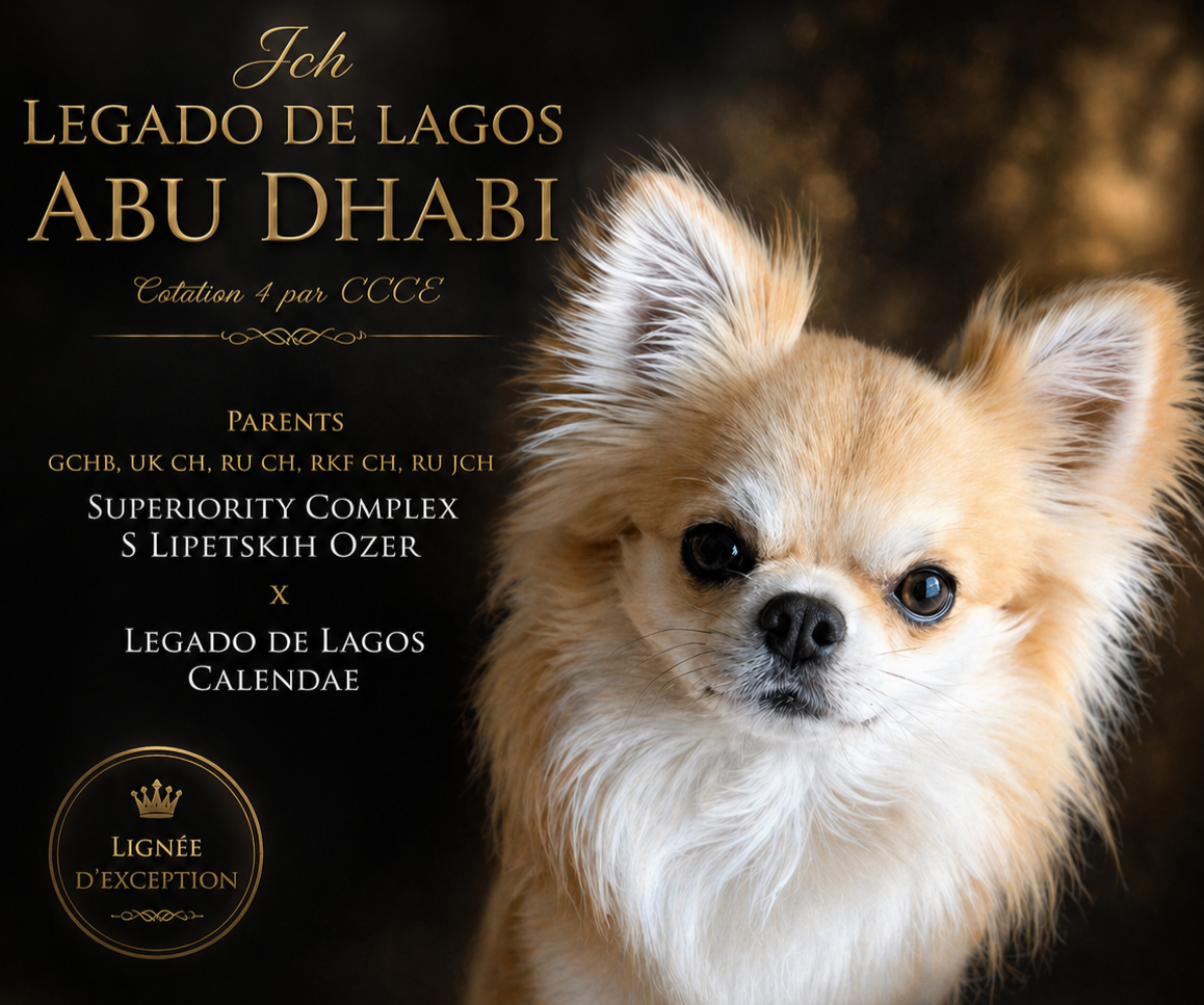 CH. legado de lagos Abu dhabi