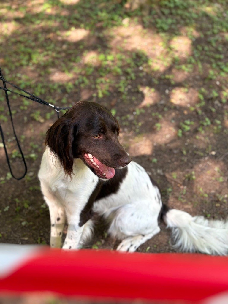 Publication : Domaine De L'Epine D'Or 