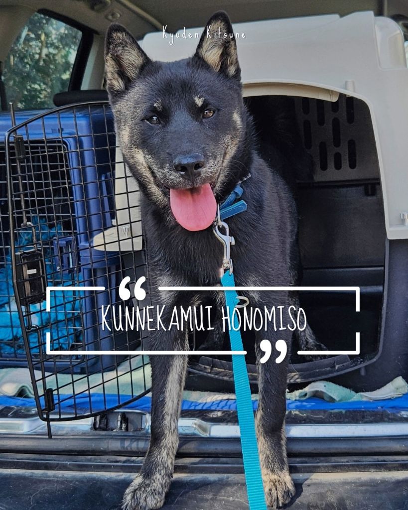 Publication : Kyuden Kitsune