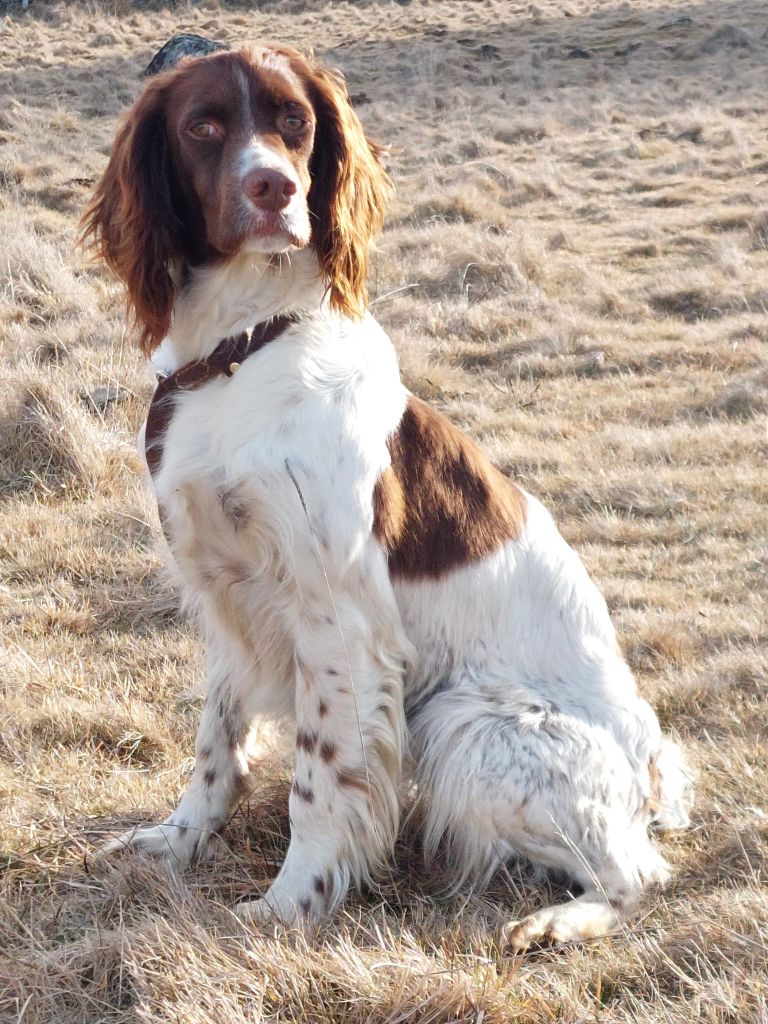 Publication : du bois de rochefleurs