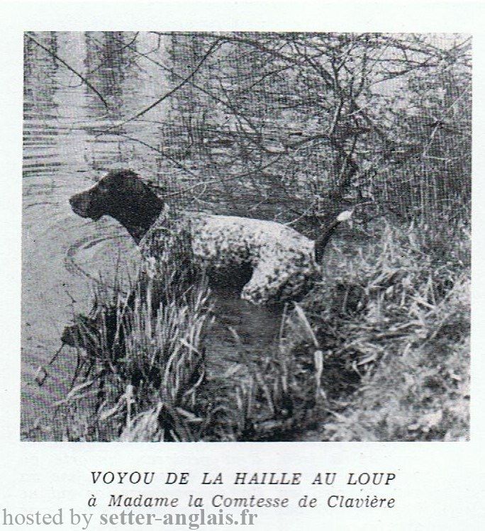 Voyou dit vidocq de la Haille au loup