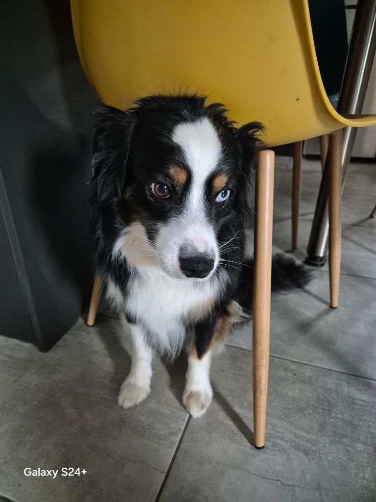 Publication : Les Mini Truffes Auteur : CÃ©line 