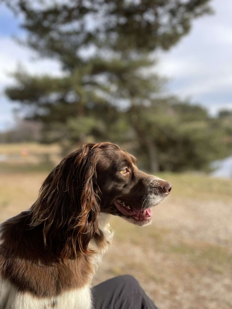 Publication : du bois de rochefleurs 
