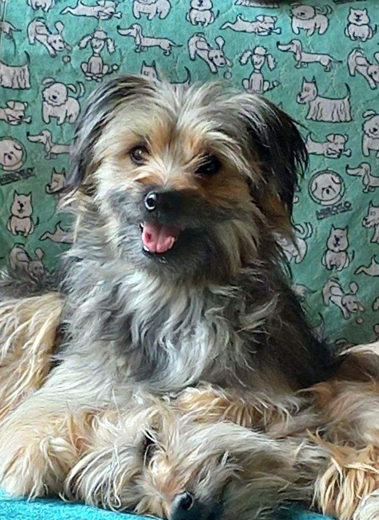 Publication : du Champ D'Onix Auteur : armelle VILLOT