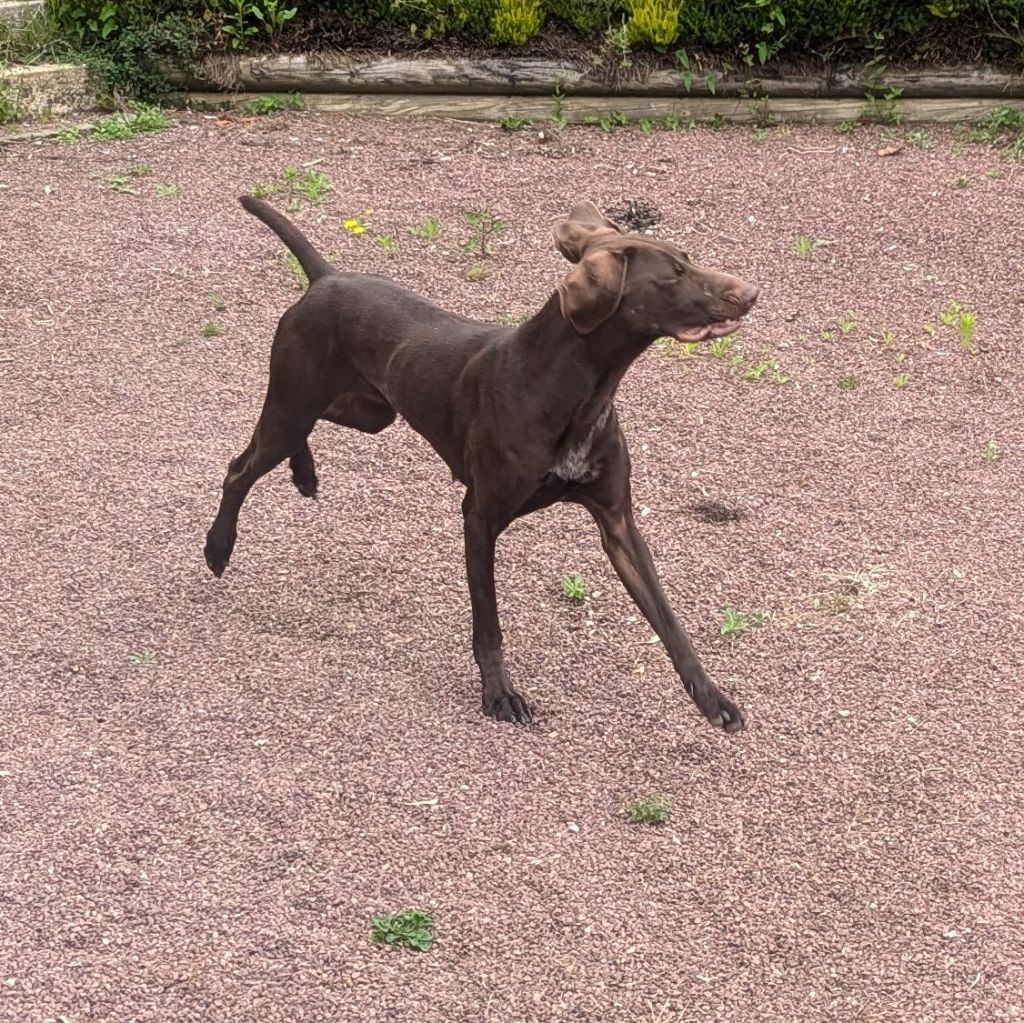 Publication : de la vallée des dunes 