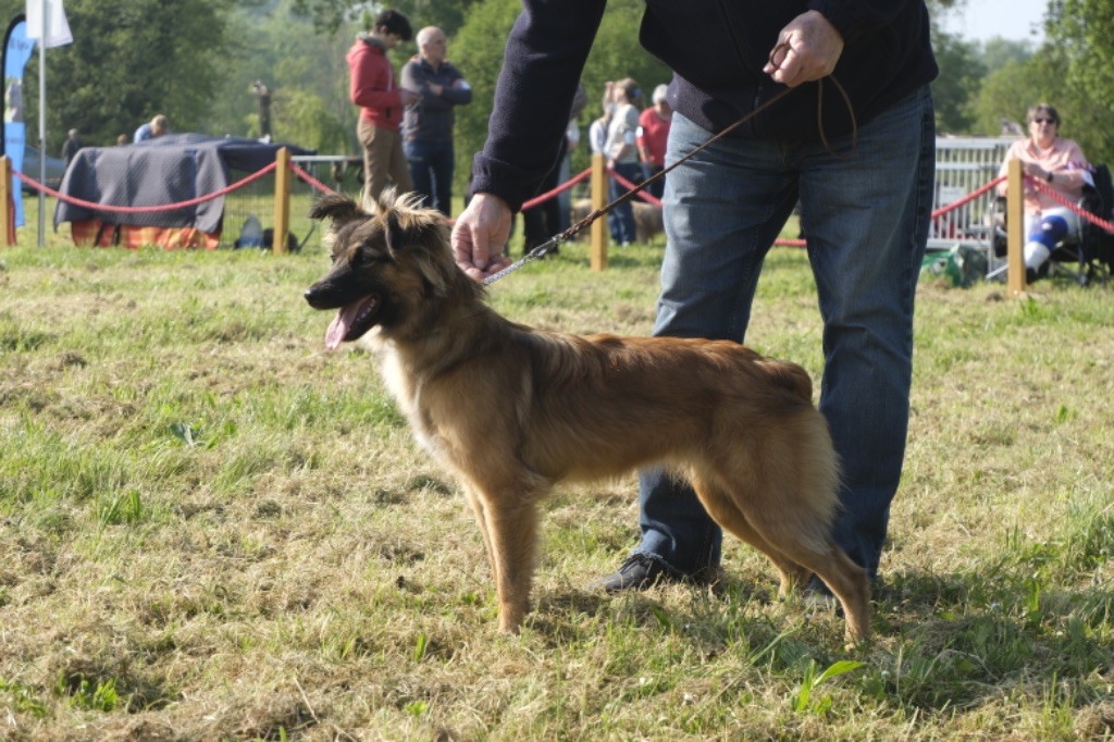 Publication : de la Porte des Touim's 