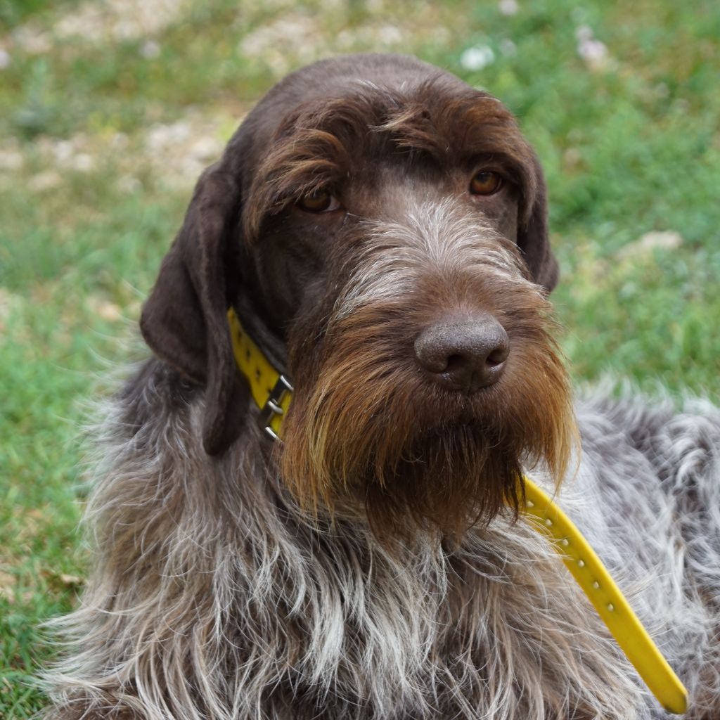 Publication : de Franc Jeu 