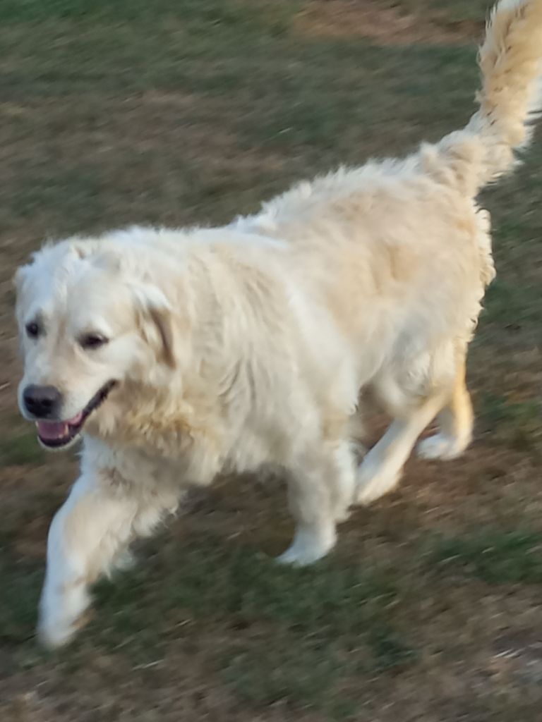 Publication : (Sans Affixe) Auteur : CINDY